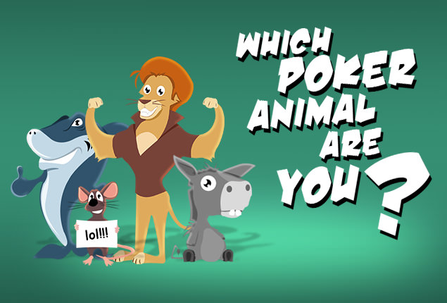 Types of poker players animals 888 poker and 888 casino